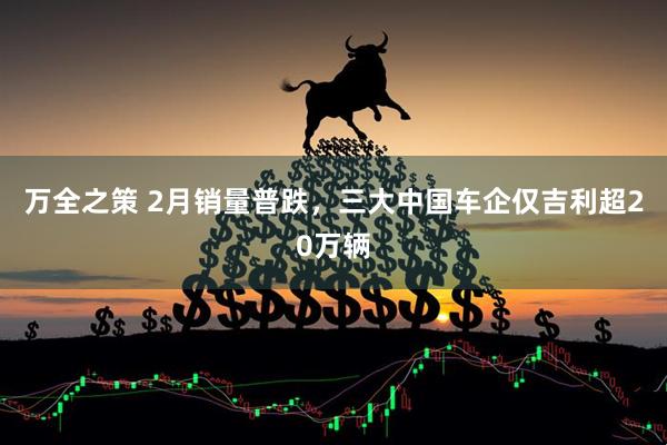 万全之策 2月销量普跌，三大中国车企仅吉利超20万辆