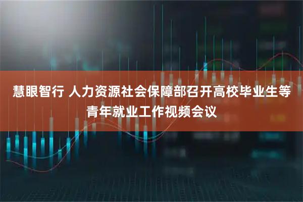 慧眼智行 人力资源社会保障部召开高校毕业生等青年就业工作视频会议