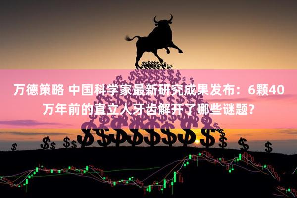 万德策略 中国科学家最新研究成果发布：6颗40万年前的直立人牙齿解开了哪些谜题？