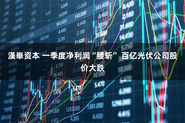 漢崋资本 一季度净利润“腰斩” 百亿光伏公司股价大跌