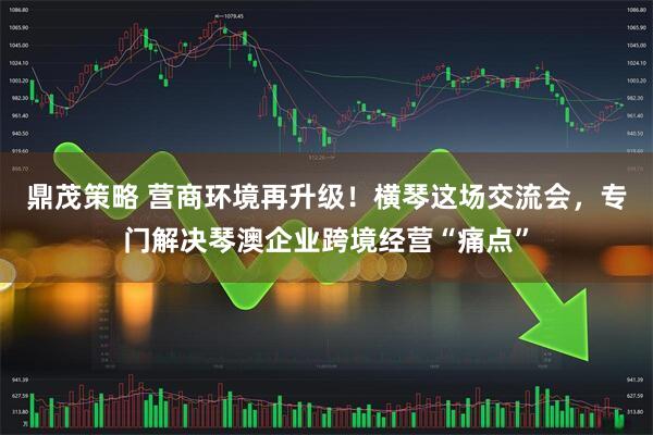 鼎茂策略 营商环境再升级!横琴这场交流会,专门解决琴澳企业跨境经营“痛点”